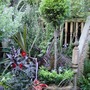 Dahlias_and_canna_near_pond_023
