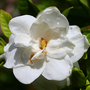 2008may049