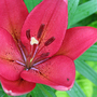 2008may060