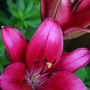 2008may155