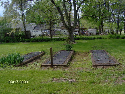 raised beds