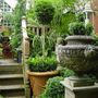 Latest_garden_views_july_2007