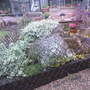 SP_A0022.jpg