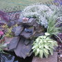 SP_A0024.jpg