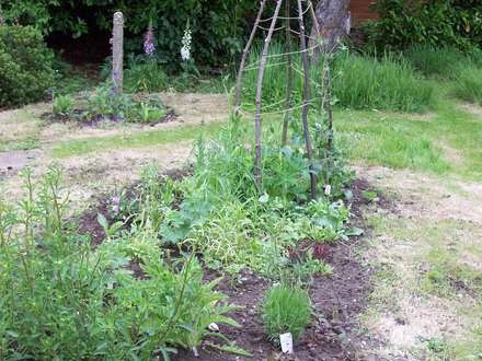 Flower Boarder After Weeding 2 Day ...