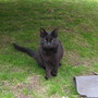 Sooty, it's actually HER garden