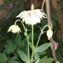 11052008055.jpg