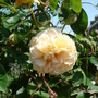 Dsc00158