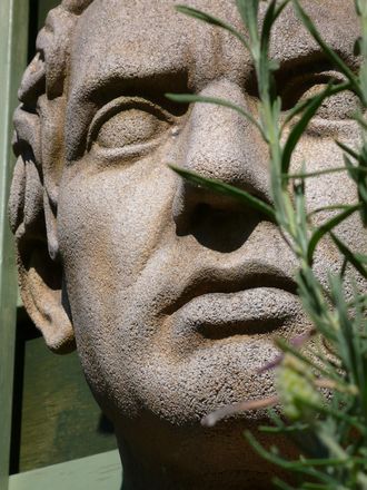 The bust of Brutus that overlooks the Southern Hemisphere garden.