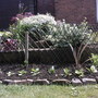 new border 