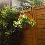 hanging_basket2.jpg