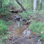 DSC00011.jpg