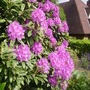 Pict0218