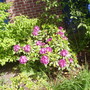 Pict0217