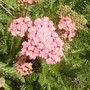 Pict0219