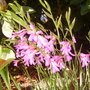 Pict0223