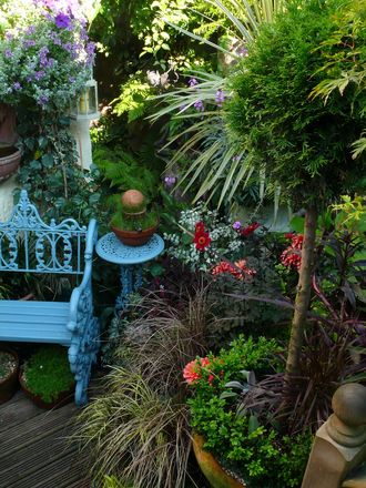 A garden flower photo