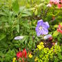Picture_001.jpg