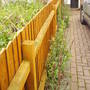 front_fence_line_with_evening_primrose.jpg