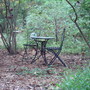 DSC00001.jpg
