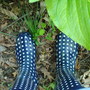 DSC00644.jpg