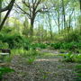 DSC00646.jpg