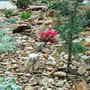 DSC00663.jpg