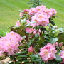 DSC00649.jpg