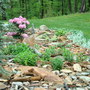 DSC00658.jpg