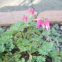 100_0698.jpg