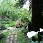 new path finished