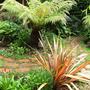 path