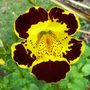 30_may_003