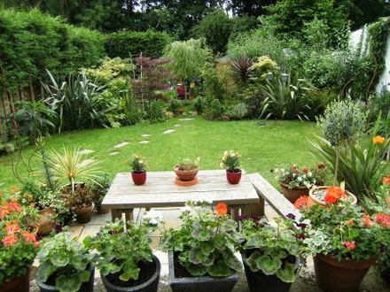 Back garden