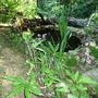 30_may_025