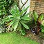 30_may_005