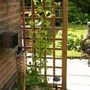 Clematis_fragrant_sring