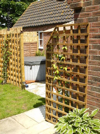 New Patio