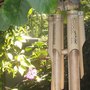 Garden_2007_060