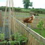 Dscf0063
