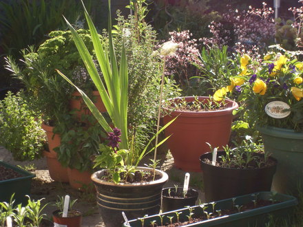 patio