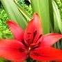31_may_002