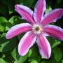 May_2008__21_