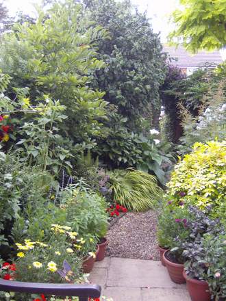 lily_and_garden2007_035.jpg