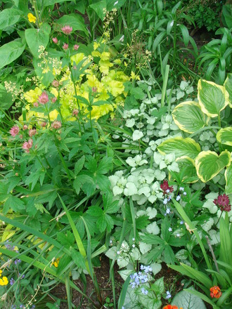 Looking down - May 2008