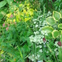 Dsc00897