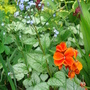 Dsc00901