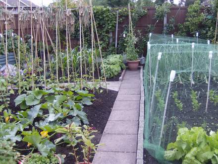 veg_garden_010.jpg