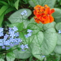 Dsc00904