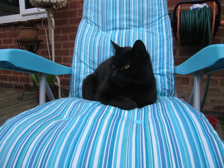 Salem 